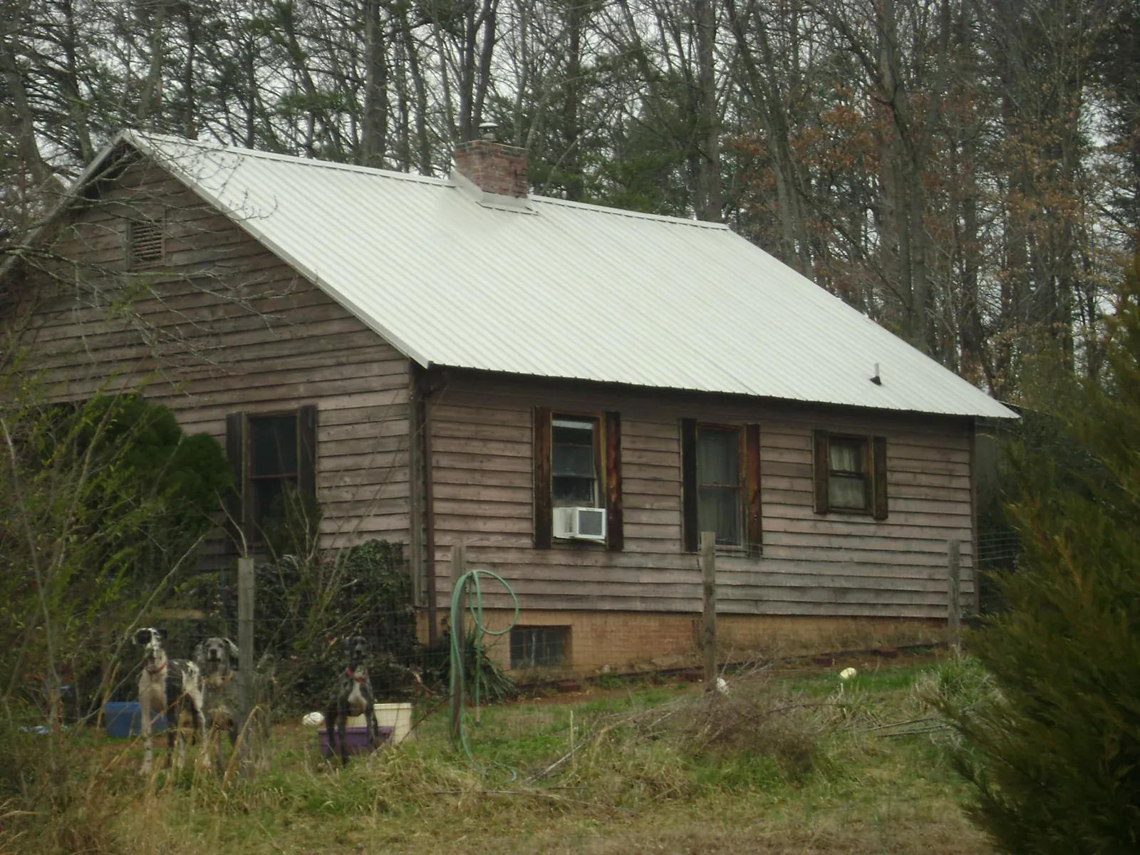 White metal roof on an old wood sided farmhouse, from a Asphalt Shingle Roof Repair job in Horace
